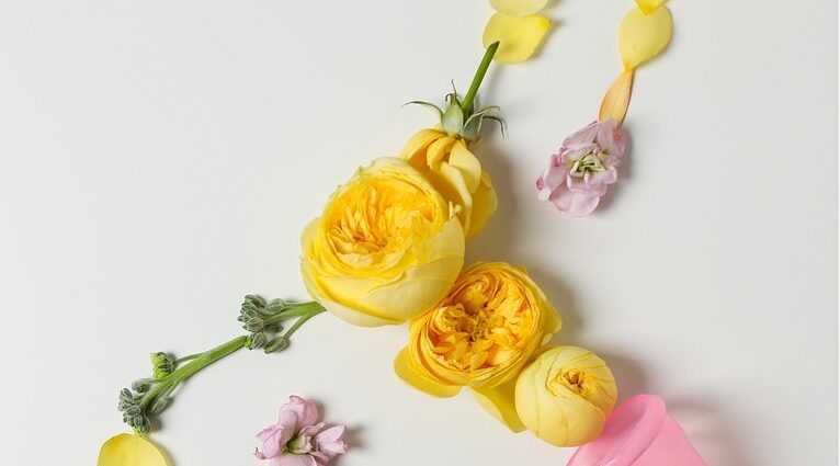 Fertilité naturelle Morges